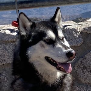 Meet your Posher, Posh